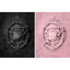 BLACKPINK - KILL THIS LOVE Cover